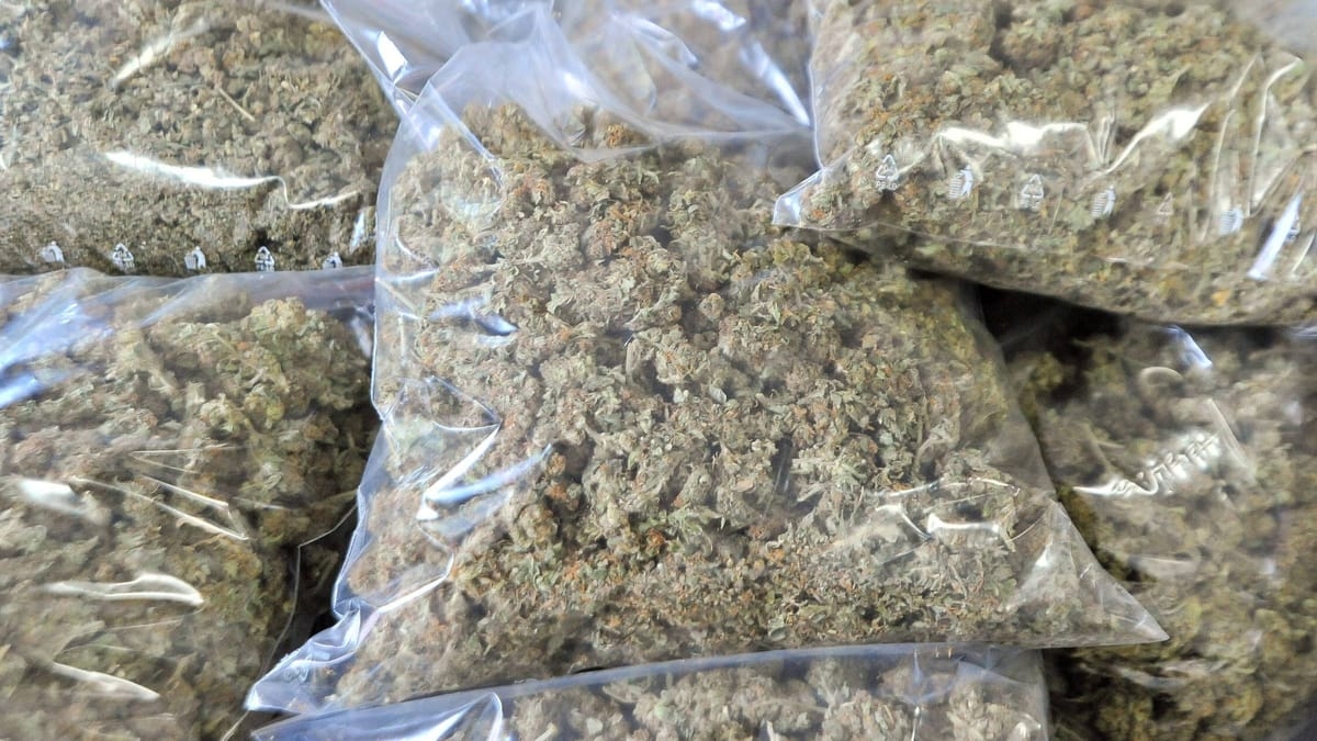 Berlin: Pięciu mężczyzn aresztowanych po znalezieniu narkotyków w Spandau