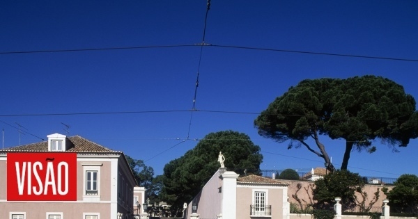 Cumhurbaşkanlığı seçimleri 18 Ocak'ta yapılacak.