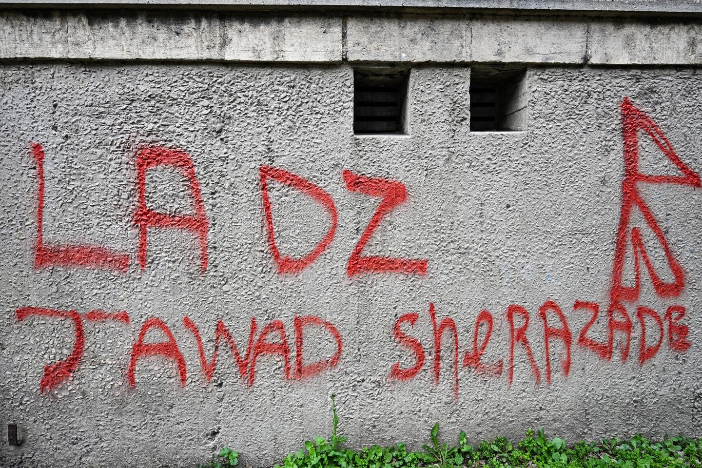 Narcobanditismo: queste donne al centro degli affari della mafia DZ
