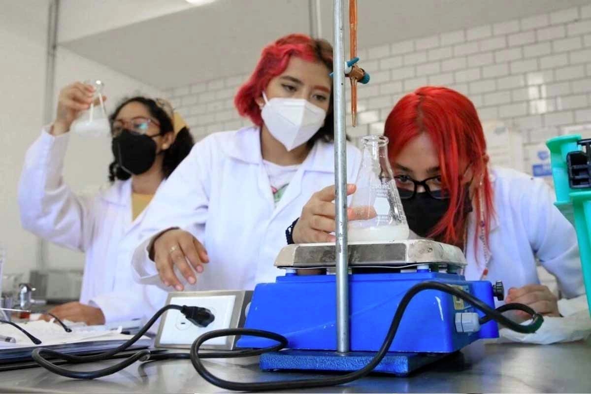 Only 12.9% of women in Mexico work in science, technology and AI