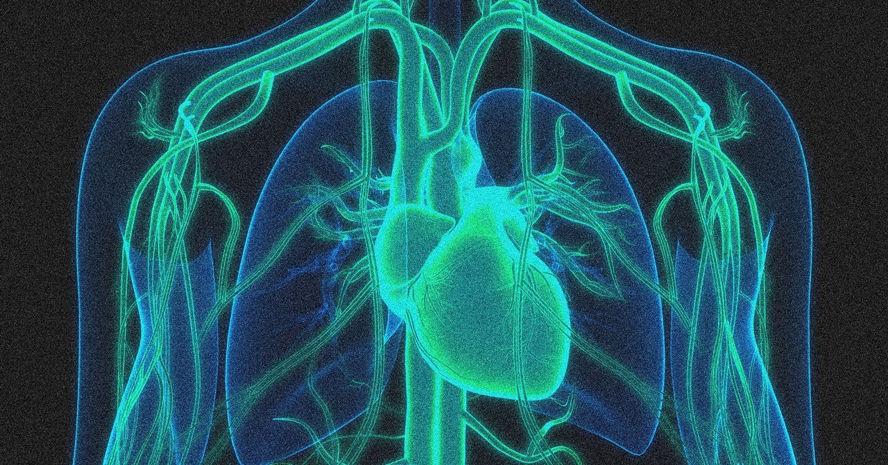 Een genbewerkingstherapie halveert het cholesterolgehalte