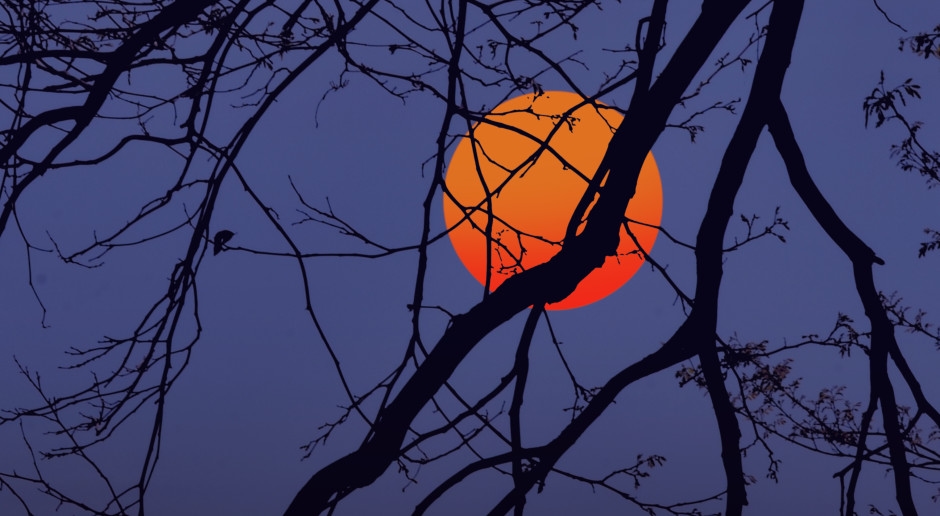 A NASA confirma: a Terra atualmente tem duas luas.