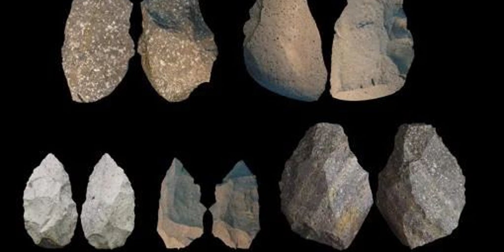 İlk hominidler, aletleri sayesinde yaklaşık üç milyon yıl önce bir 'iklim kaosundan' kurtuldular