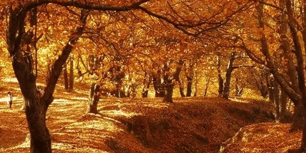 Деревня в Малаге, идеальная для осени: здесь есть апельсиновые «джунгли» и всего 300 жителей.