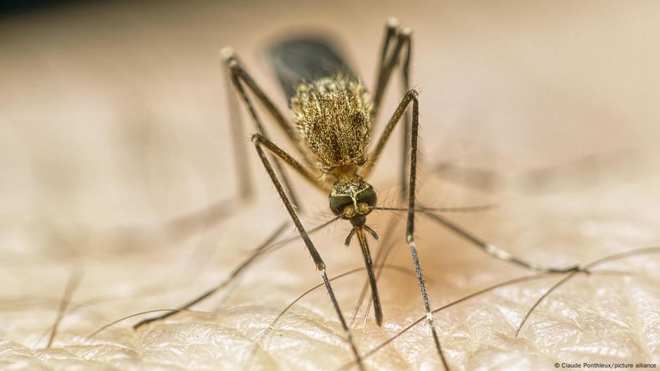 How climate change harms health and what helps