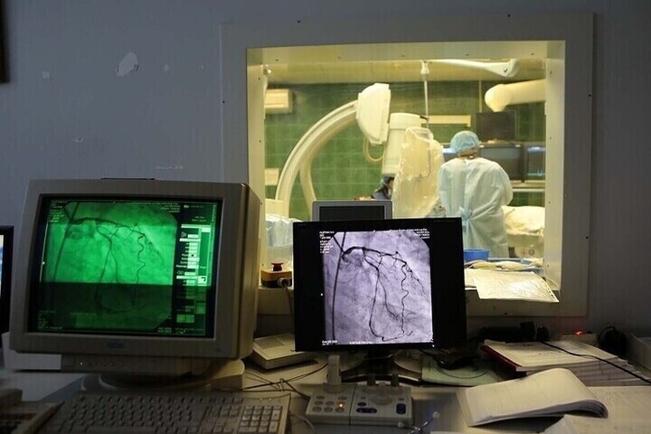 Scientists have revealed how genes provide cells with "eternal life."