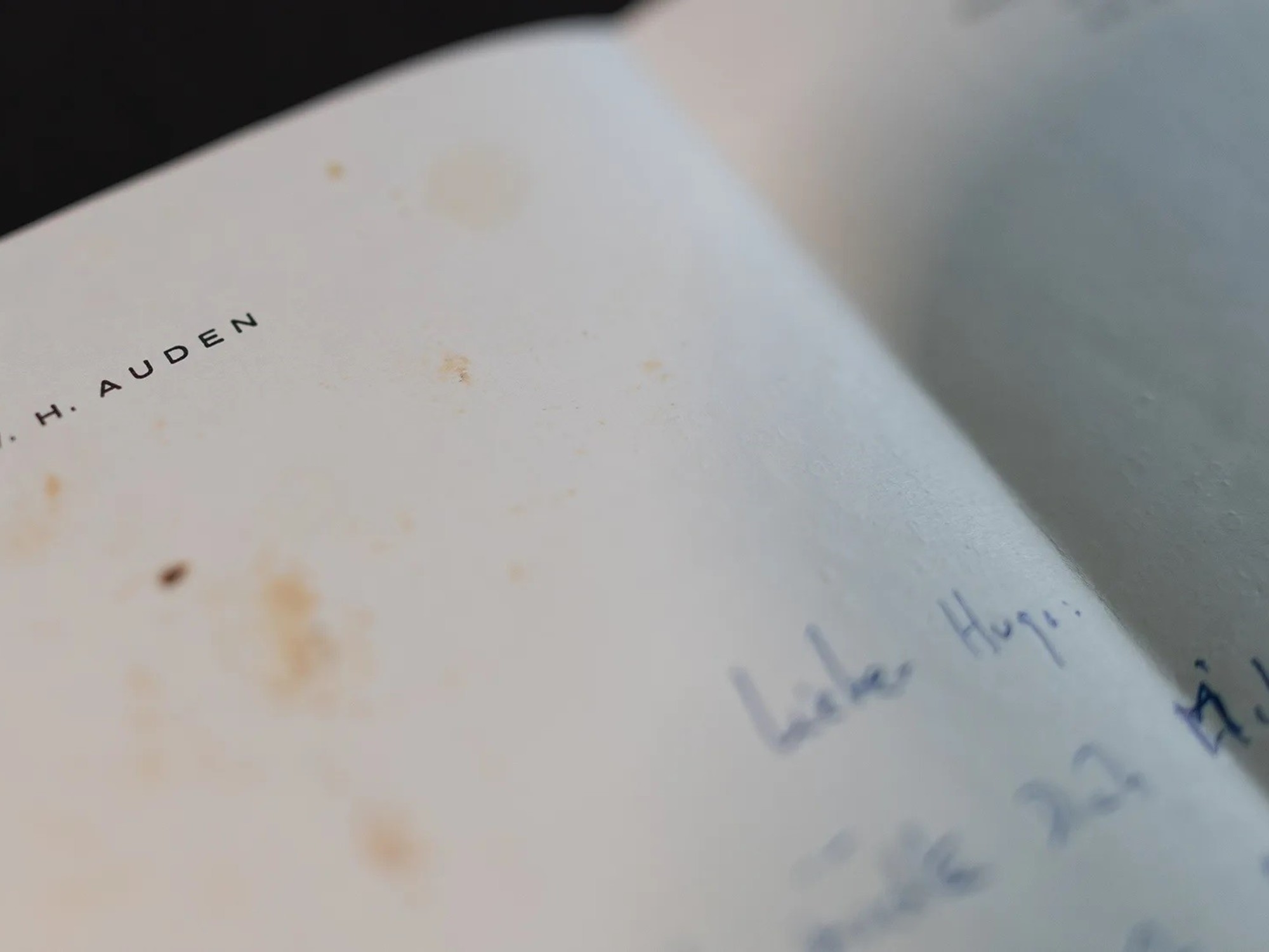 Hunderte unveröffentlichte Briefe des Schriftstellers W. H. Auden an eine österreichische Geliebte wurden entdeckt.