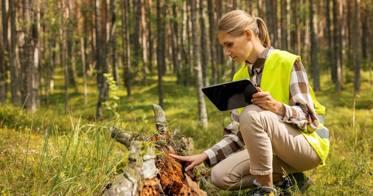 A Alemanha é um centro de pesquisa líder mundial em tecnologia agrícola.