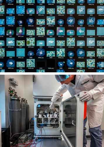 Bilgisayarlara güç sağlamak için kullanılan canlı insan nöronları