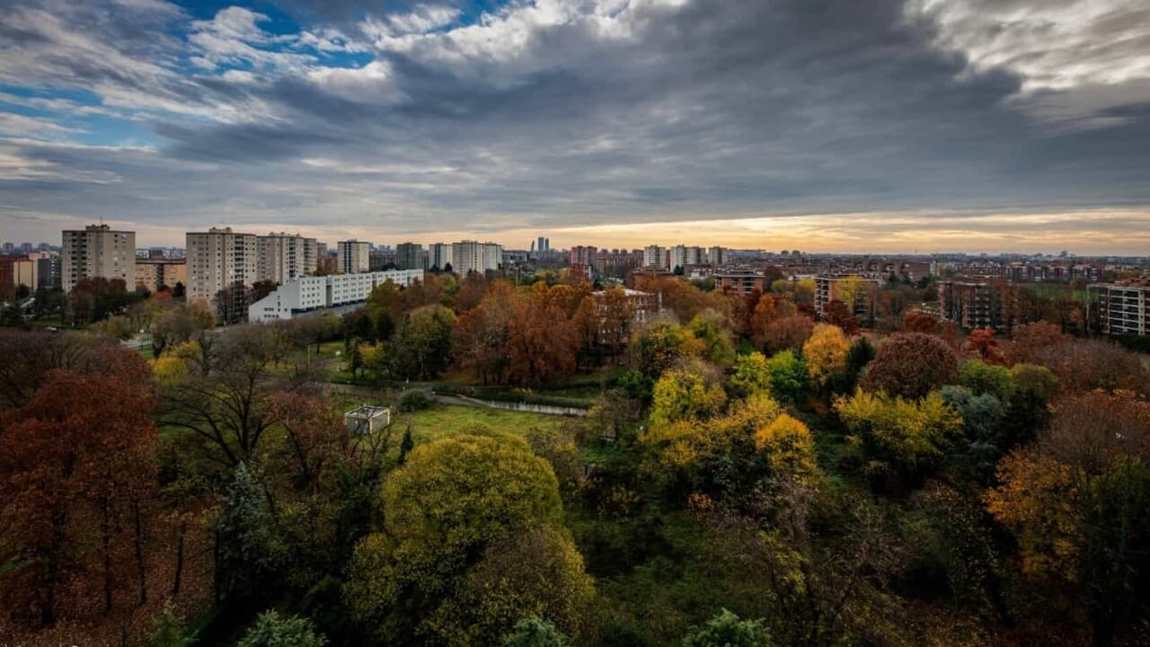 17-этажные небоскребы и исчезающие леса: мегастроительные проекты на окраине Южного Парка.