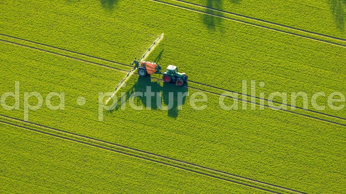 Daha az kontrol: AB, çiftçilerin evrak işlerini kurtarmak istiyor